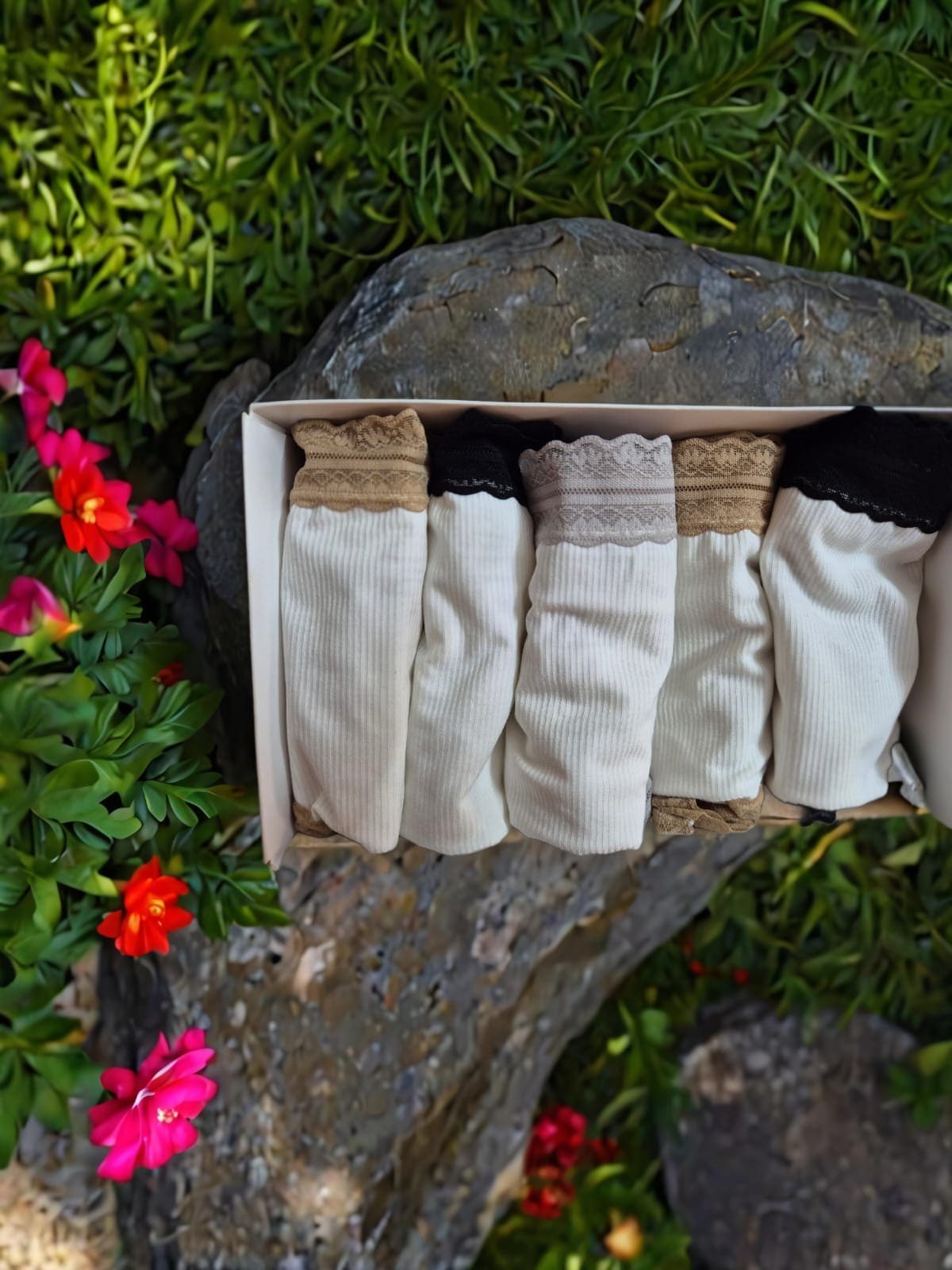 Set of 5 Muji - Dew Lace Crimson Curves